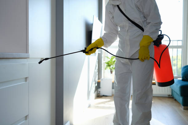 Certified Mold Removal in Winner, SD